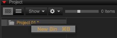 Create New Bin from Project Folder
